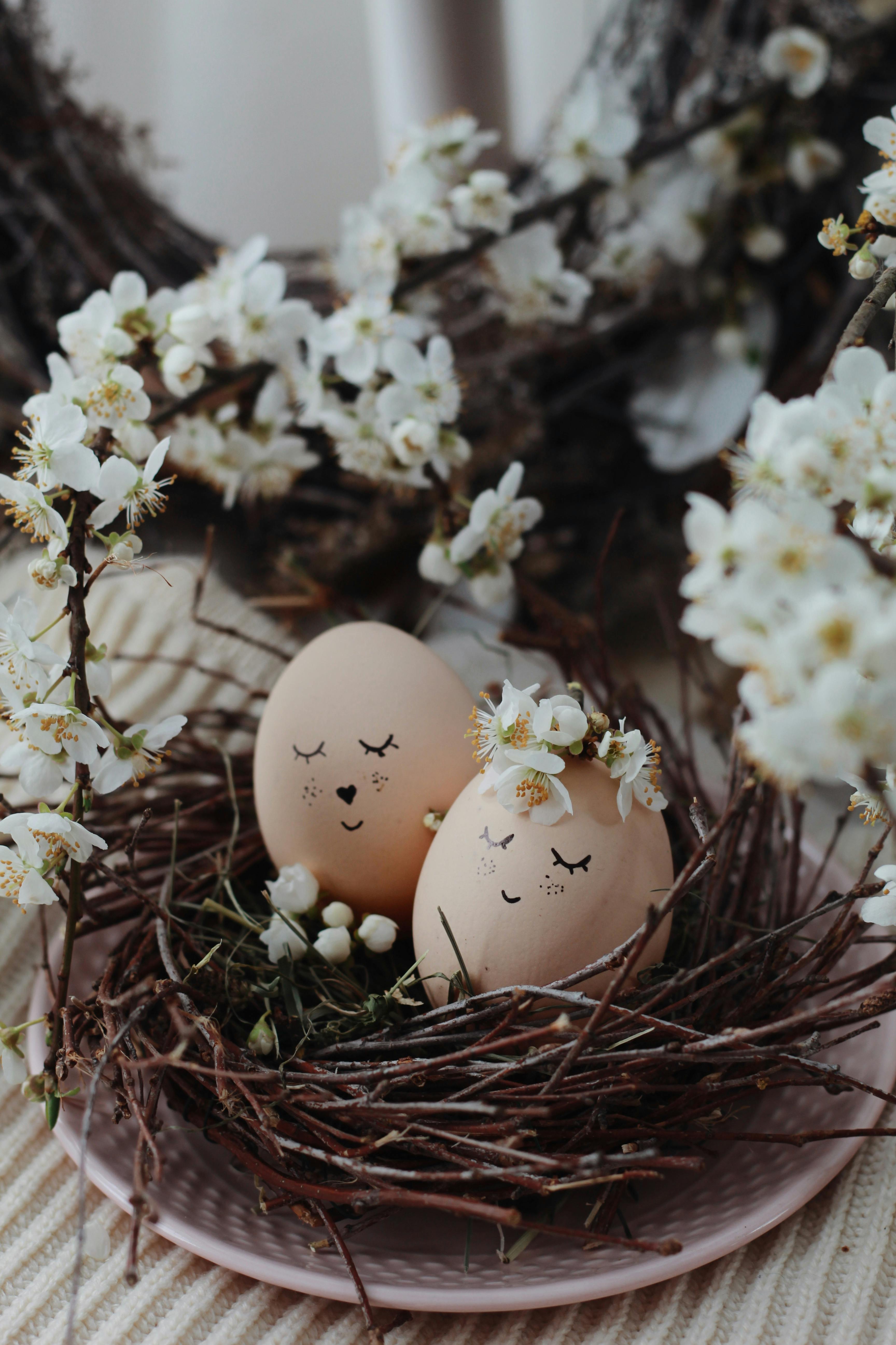 Celebrating Easter: Enjoy a Paw-some Day with Your Dog!